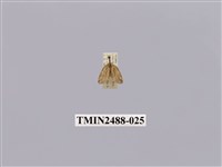 藏品(暗良苔蛾)的圖片